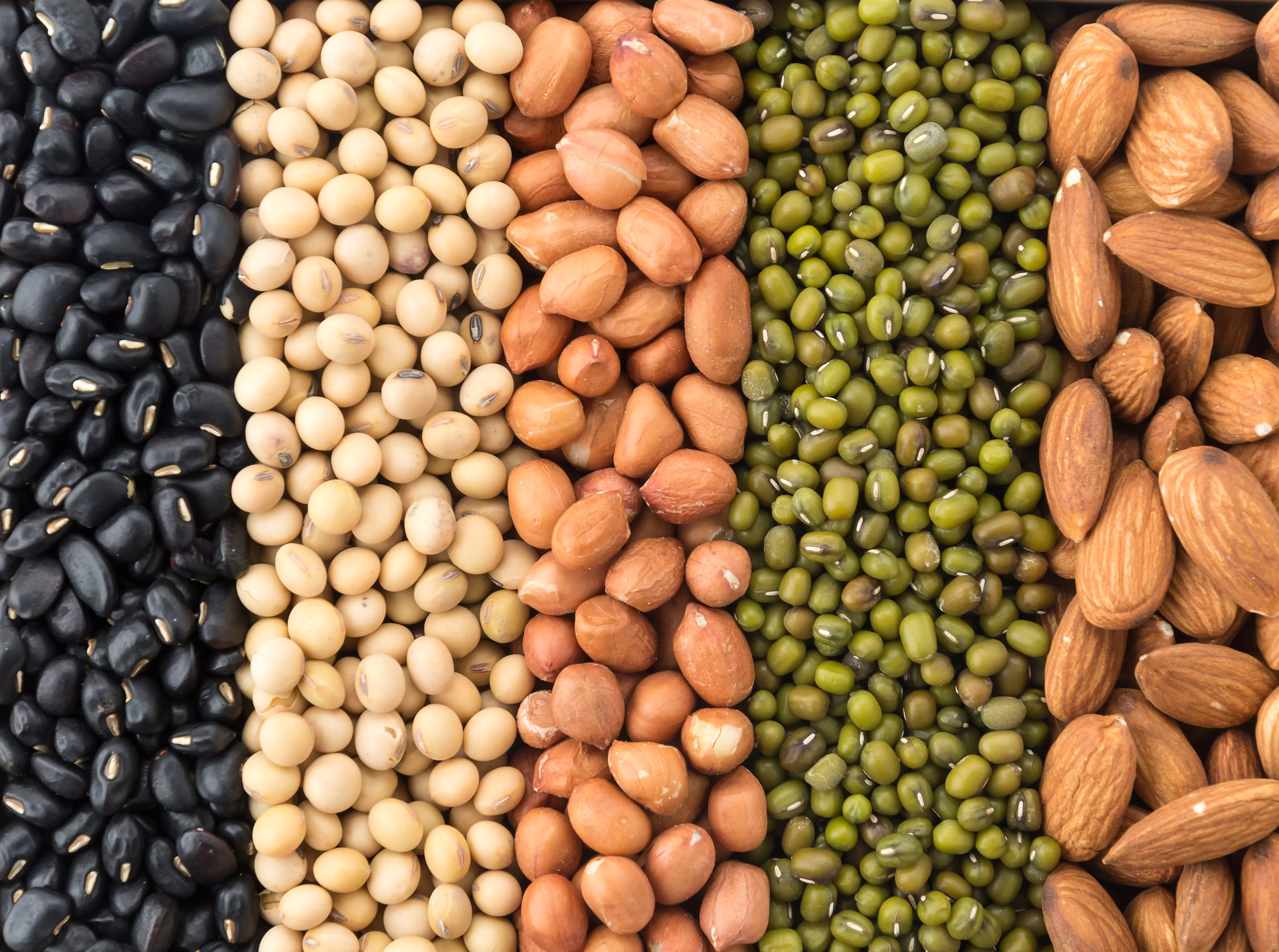 mix-beans.jpg